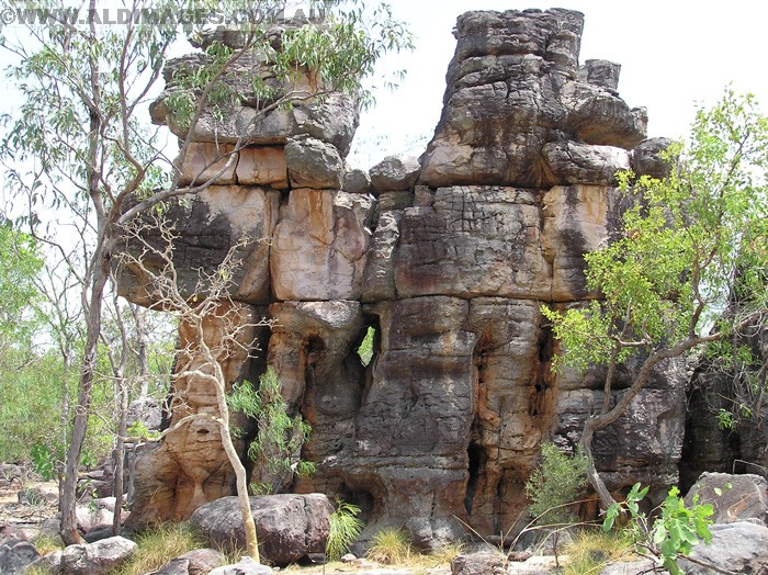 678x501 pixels (303K)